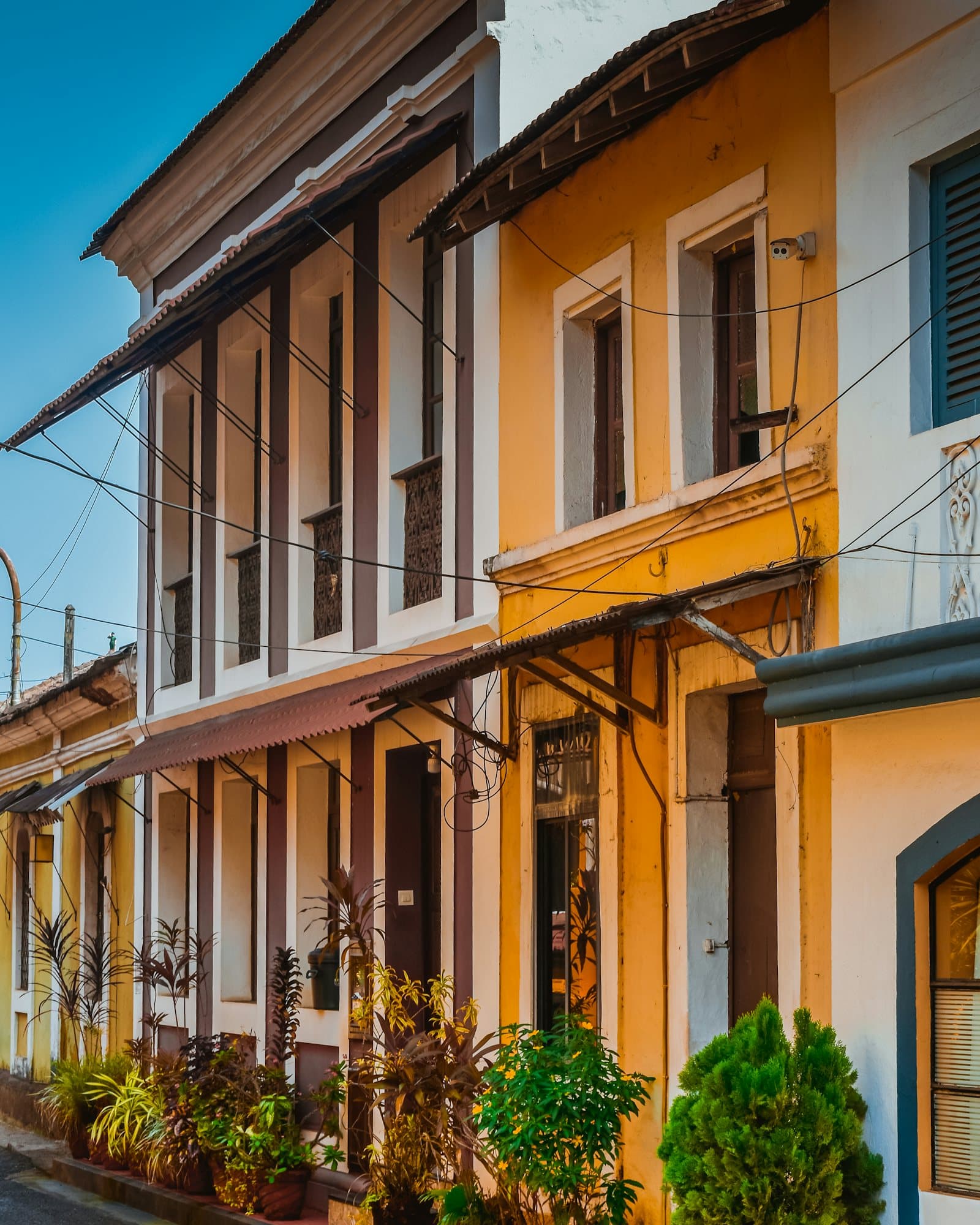 Row of ochre and white Portuguese-style houses with tiled awnings and potted plants in Goa